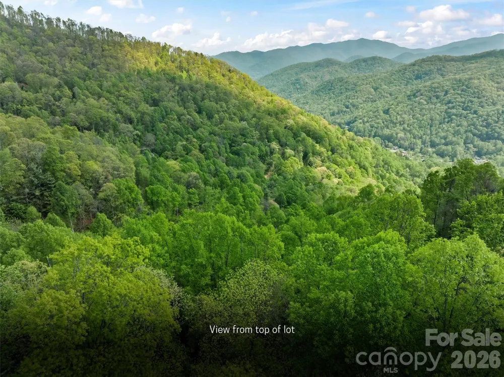 TBD Jacks Knob Road #49 Barnardsville, NC 28709