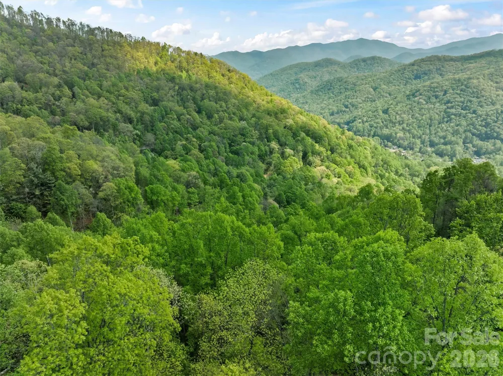 TBD Jacks Knob Road #49 Barnardsville, NC 28709