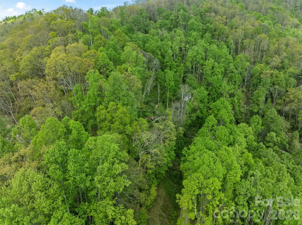 TBD Jacks Knob Road #49 Barnardsville, NC 28709
