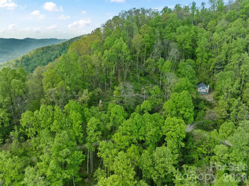 TBD Jacks Knob Road #49 Barnardsville, NC 28709