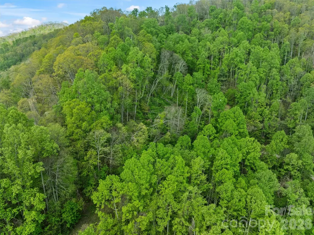 TBD Jacks Knob Road #49 Barnardsville, NC 28709