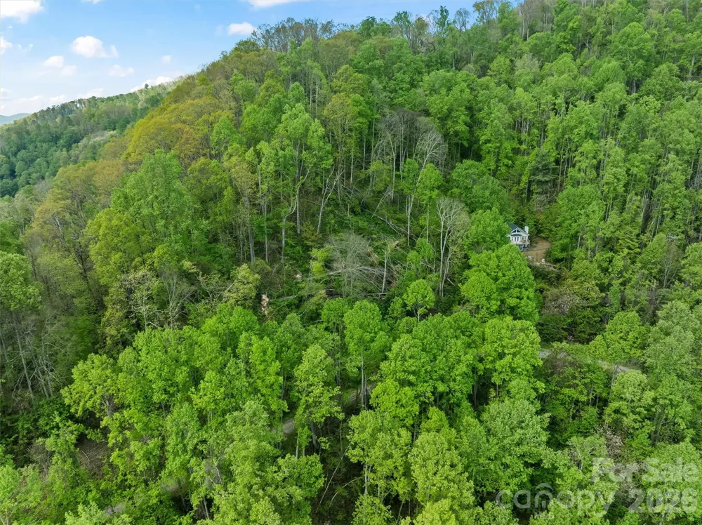 TBD Jacks Knob Road #49 Barnardsville, NC 28709