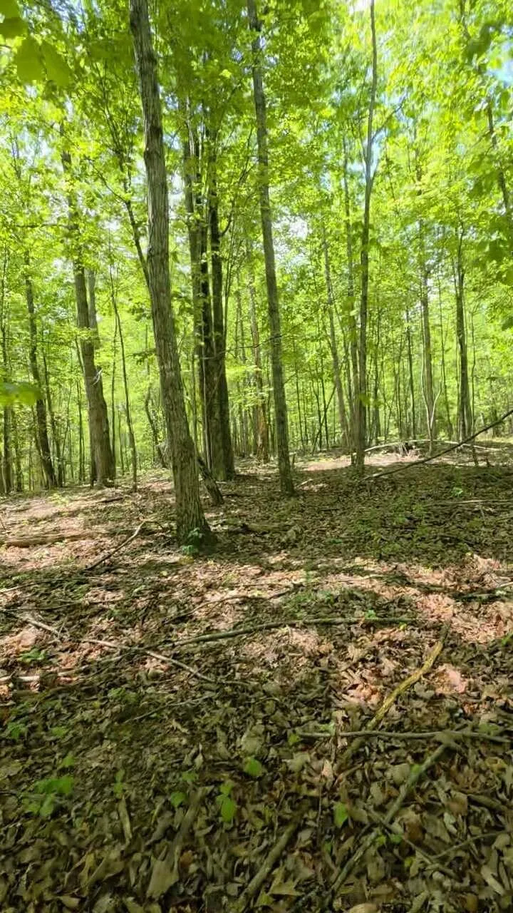 15 Cluck Cove Road South Pittsburg, TN 37380