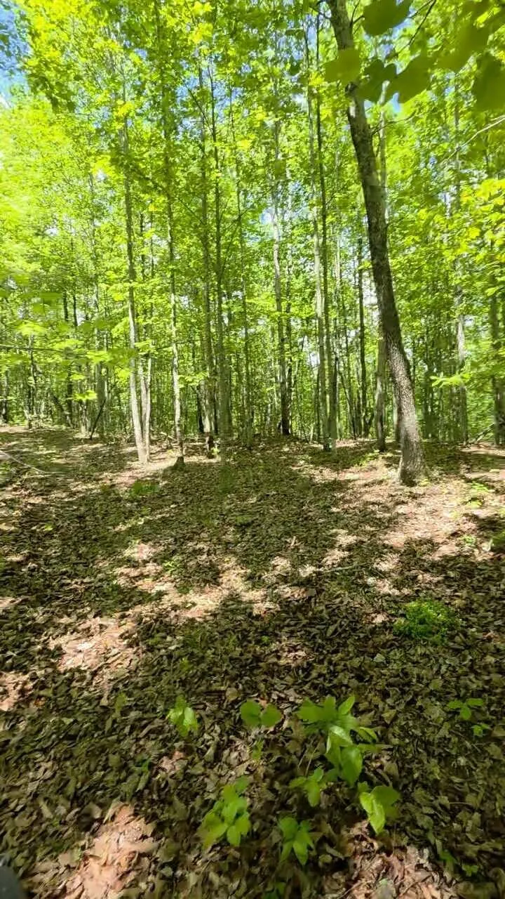 15 Cluck Cove Road South Pittsburg, TN 37380