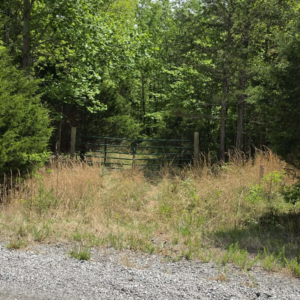 15 Cluck Cove Road South Pittsburg, TN 37380