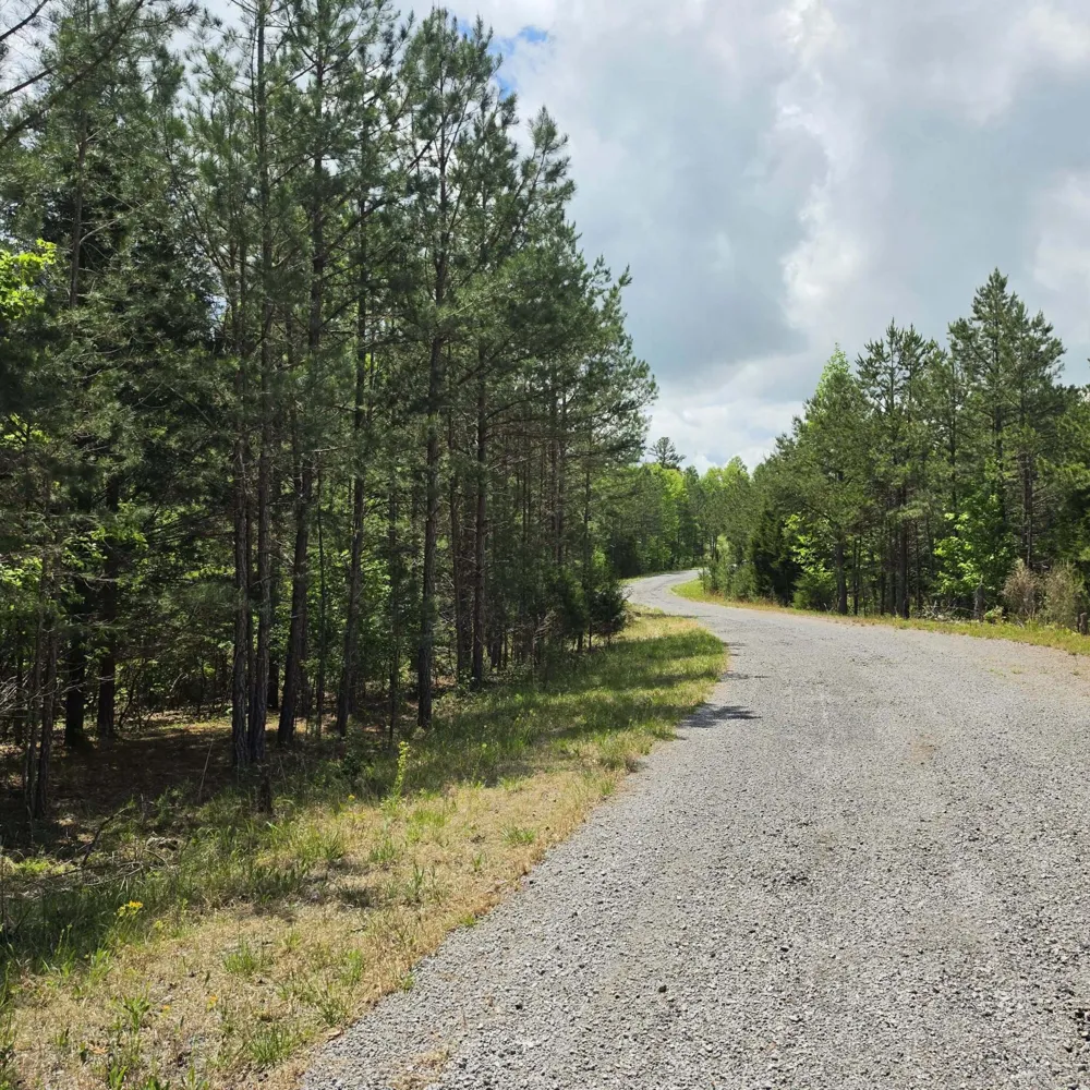 15 Cluck Cove Road South Pittsburg, TN 37380