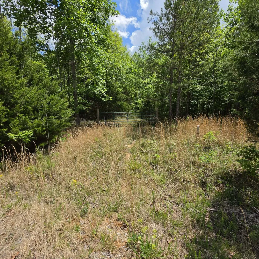 15 Cluck Cove Road South Pittsburg, TN 37380