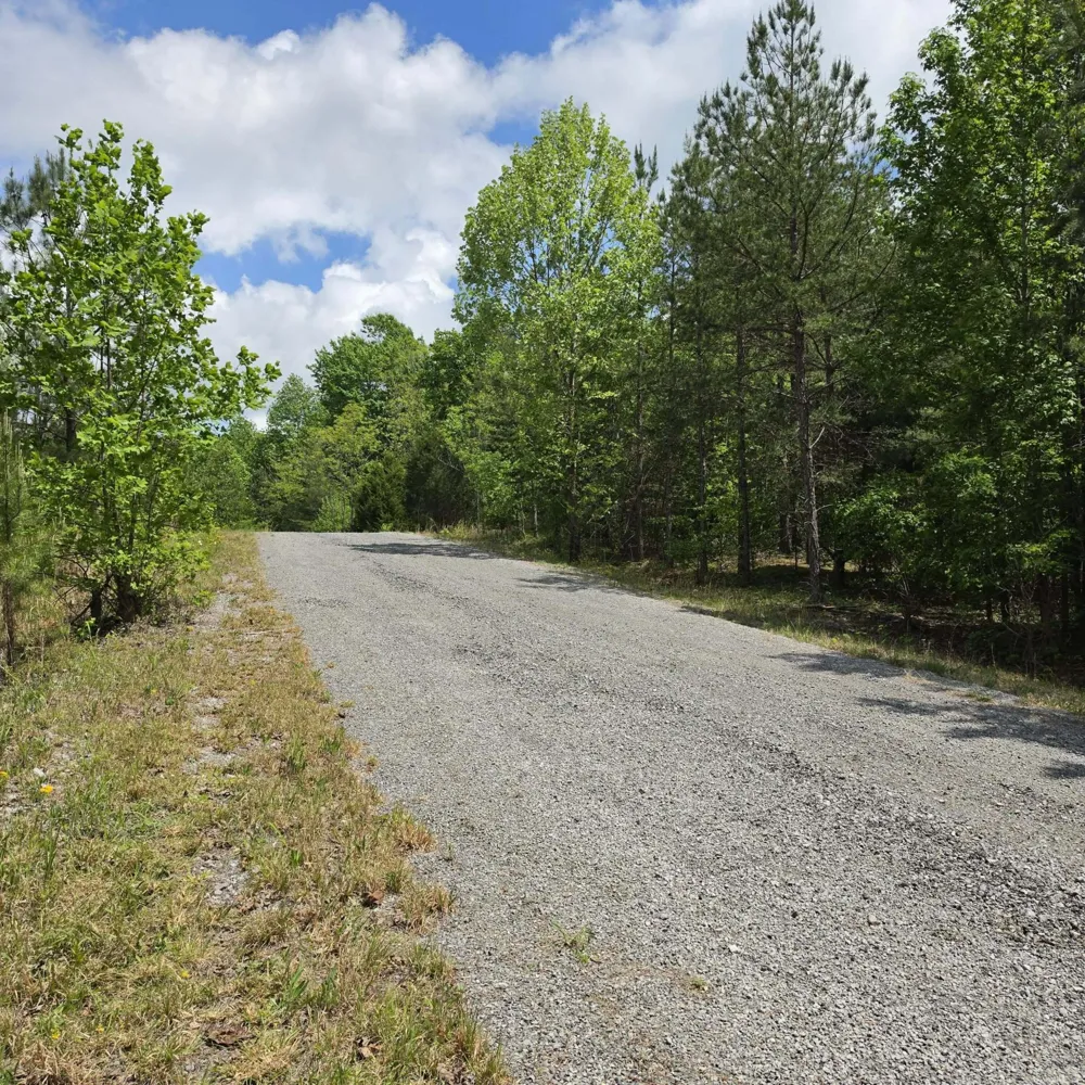 15 Cluck Cove Road South Pittsburg, TN 37380