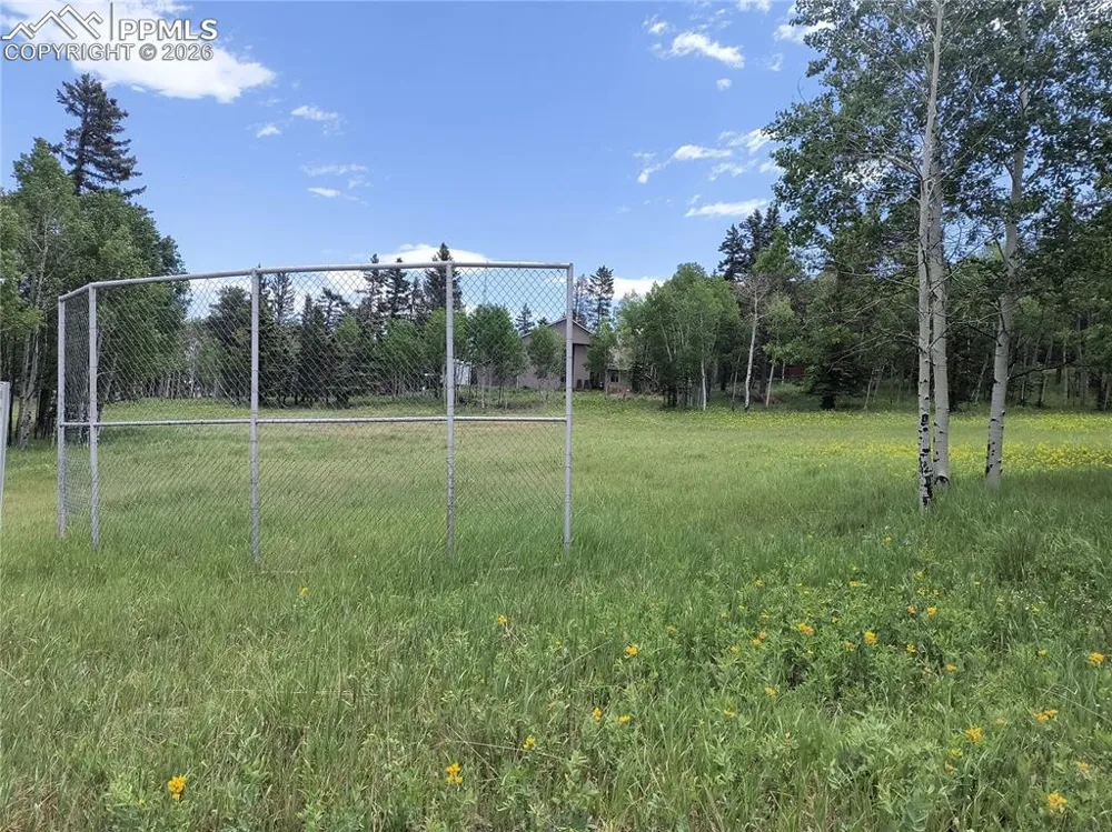 Will Scarlet Drive Divide, CO 80814