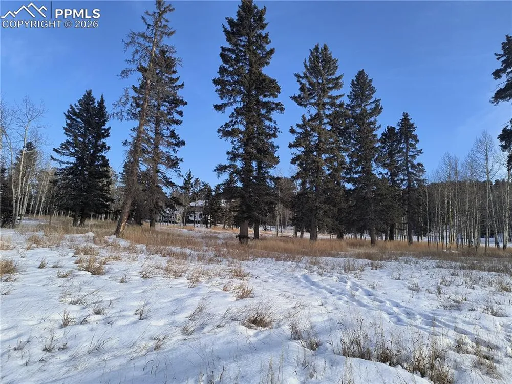 Will Scarlet Drive Divide, CO 80814