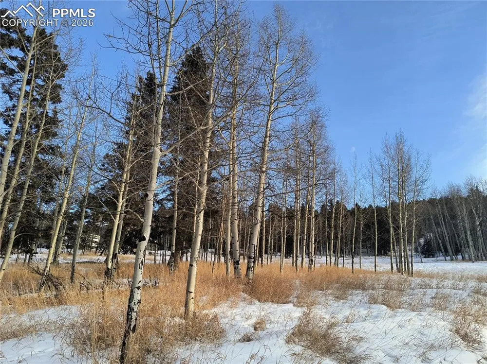 Will Scarlet Drive Divide, CO 80814