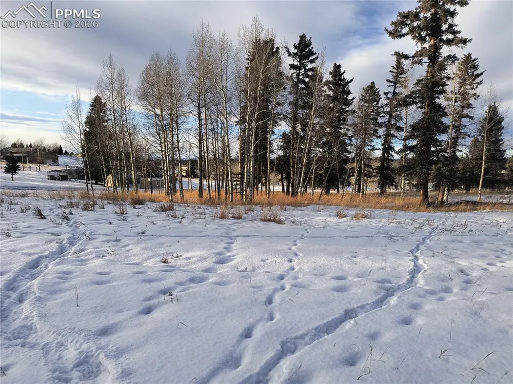 Will Scarlet Drive Divide, CO 80814