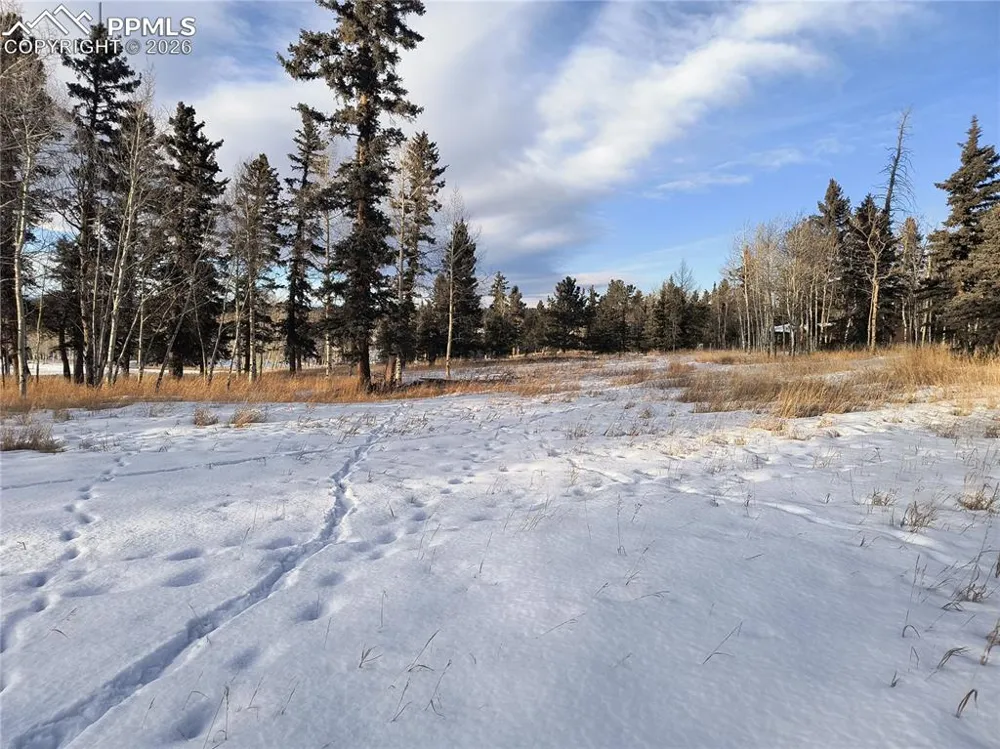 Will Scarlet Drive Divide, CO 80814