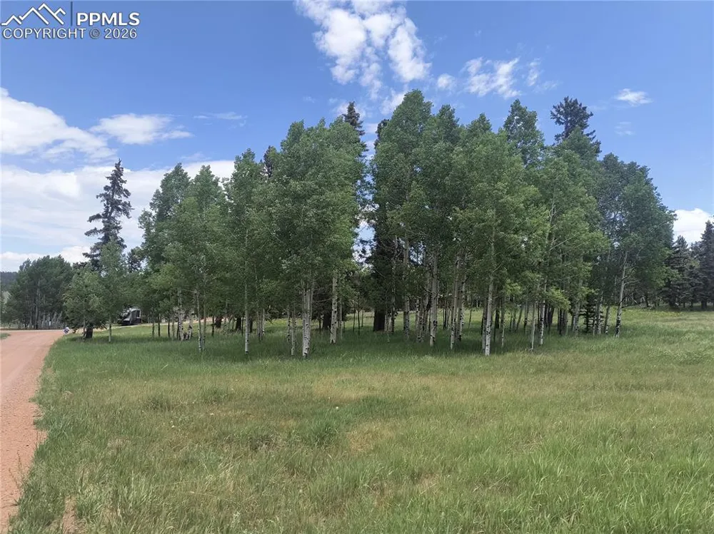Will Scarlet Drive Divide, CO 80814