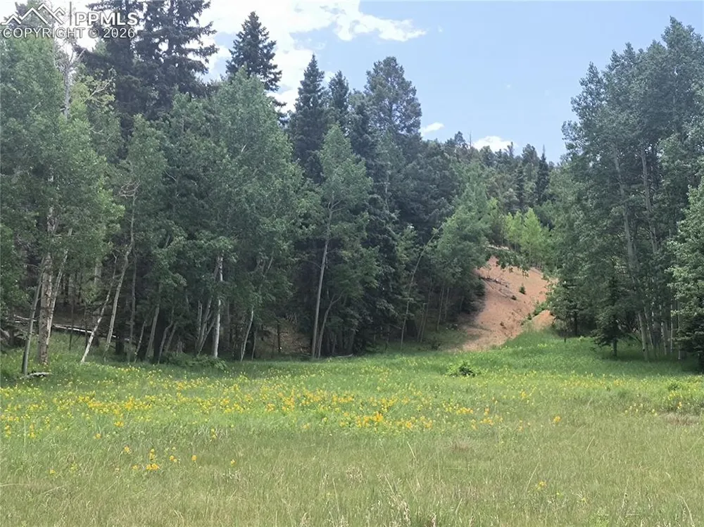 Will Scarlet Drive Divide, CO 80814