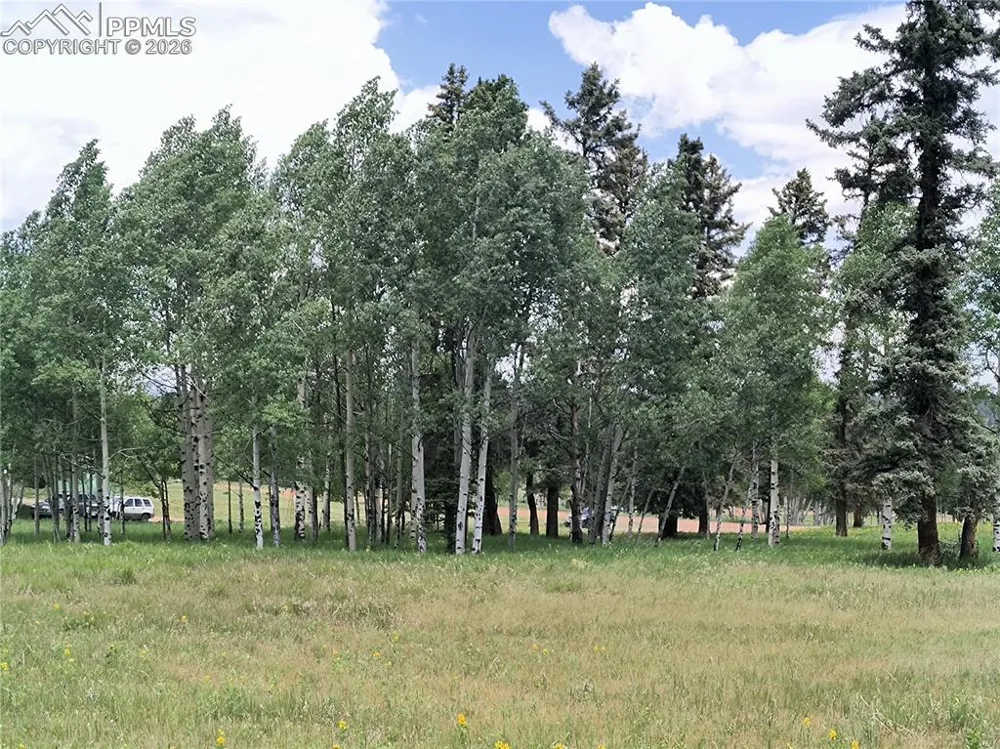 Will Scarlet Drive Divide, CO 80814