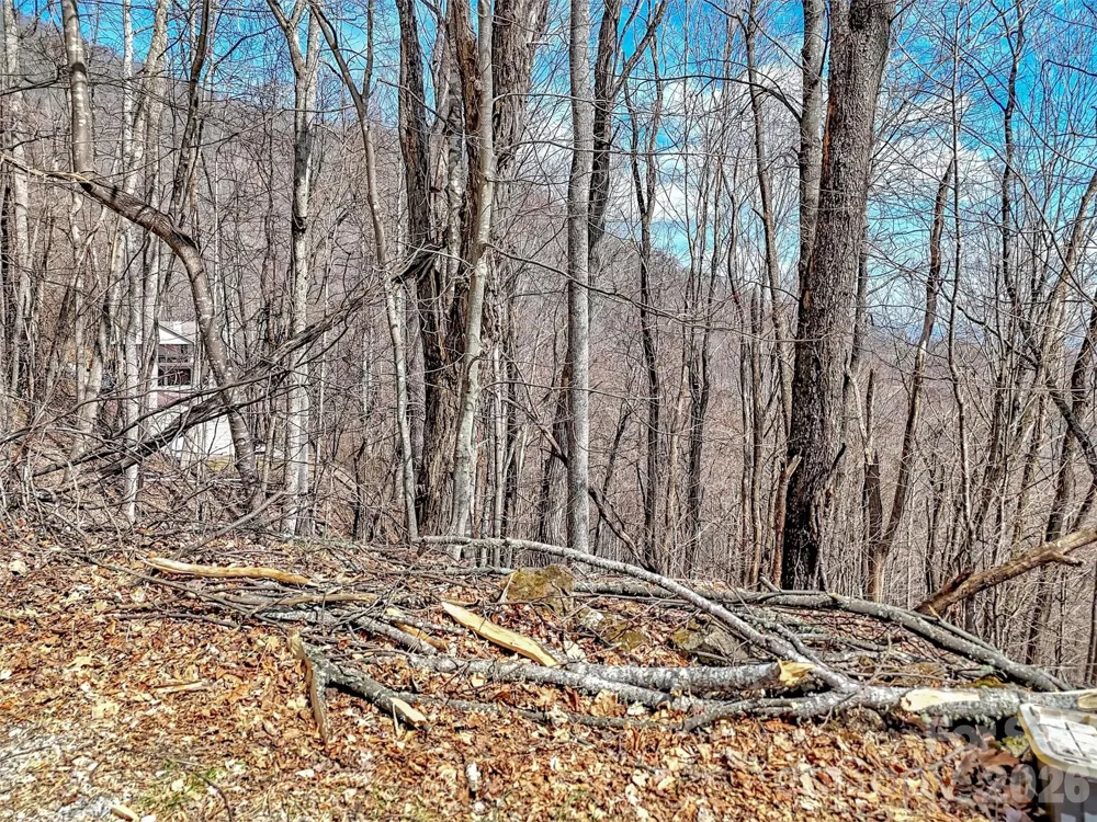 TBD Chipmunk Circle #27 Waynesville, NC 28785