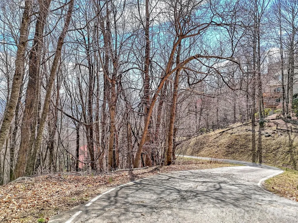 TBD Chipmunk Circle #27 Waynesville, NC 28785