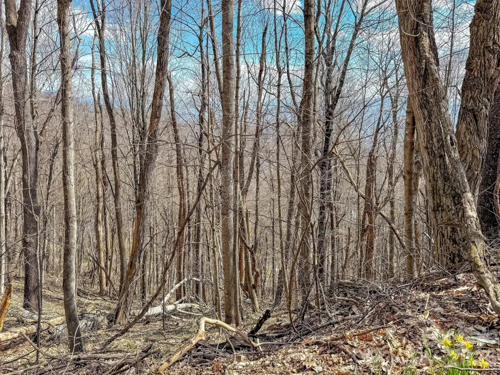 TBD Chipmunk Circle #27 Waynesville, NC 28785