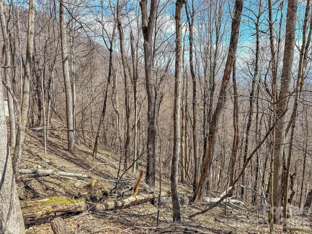 TBD Chipmunk Circle #27 Waynesville, NC 28785