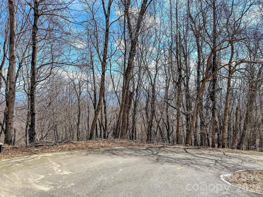 TBD Chipmunk Circle #27 Waynesville, NC 28785