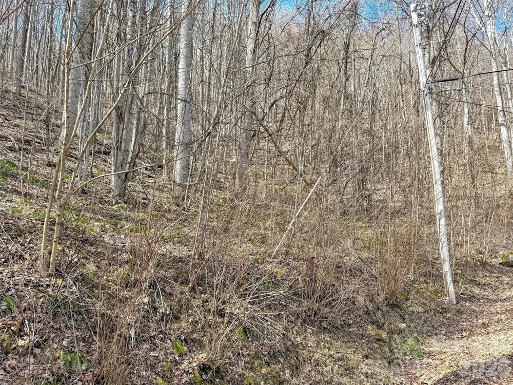 TBD Chipmunk Circle #27 Waynesville, NC 28785