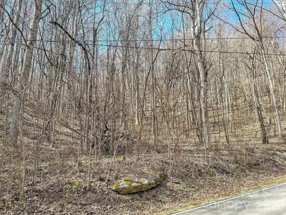 TBD Chipmunk Circle #27 Waynesville, NC 28785