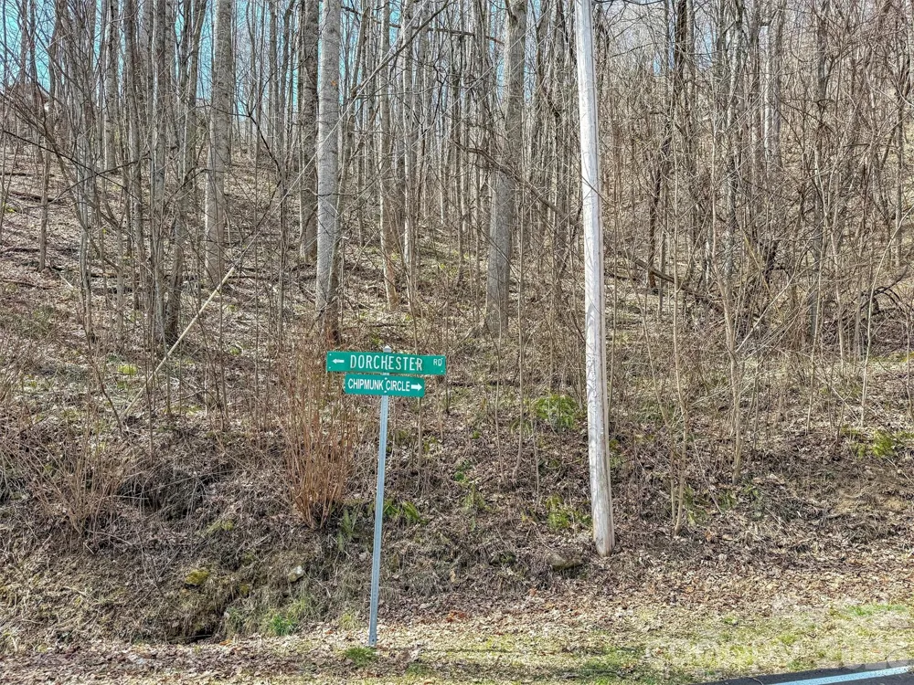 TBD Chipmunk Circle #27 Waynesville, NC 28785