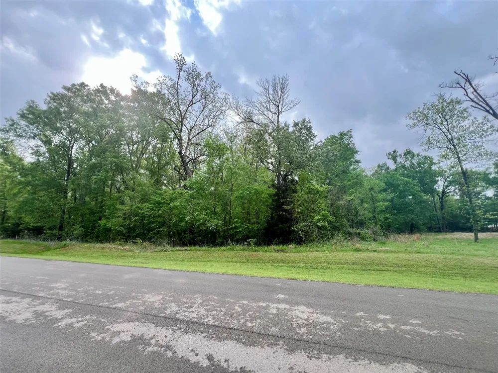 21027 Gatlinburg Road Bullard, TX 75757