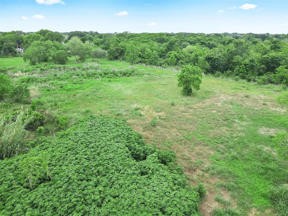Laurel Street Fresno, TX 77545