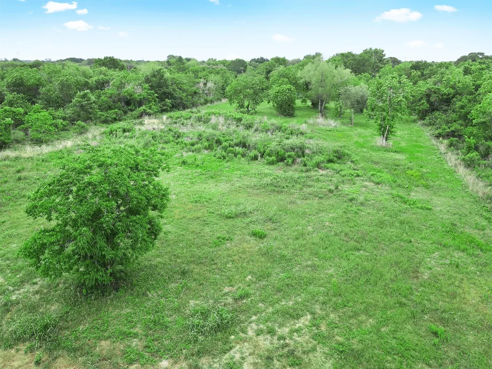 Laurel Street Fresno, TX 77545