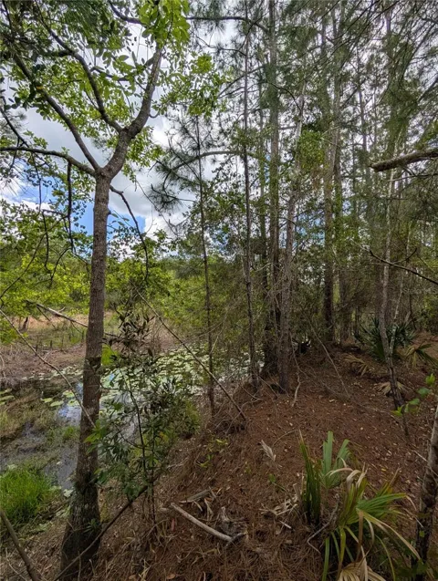38521 ILEX TRAIL
