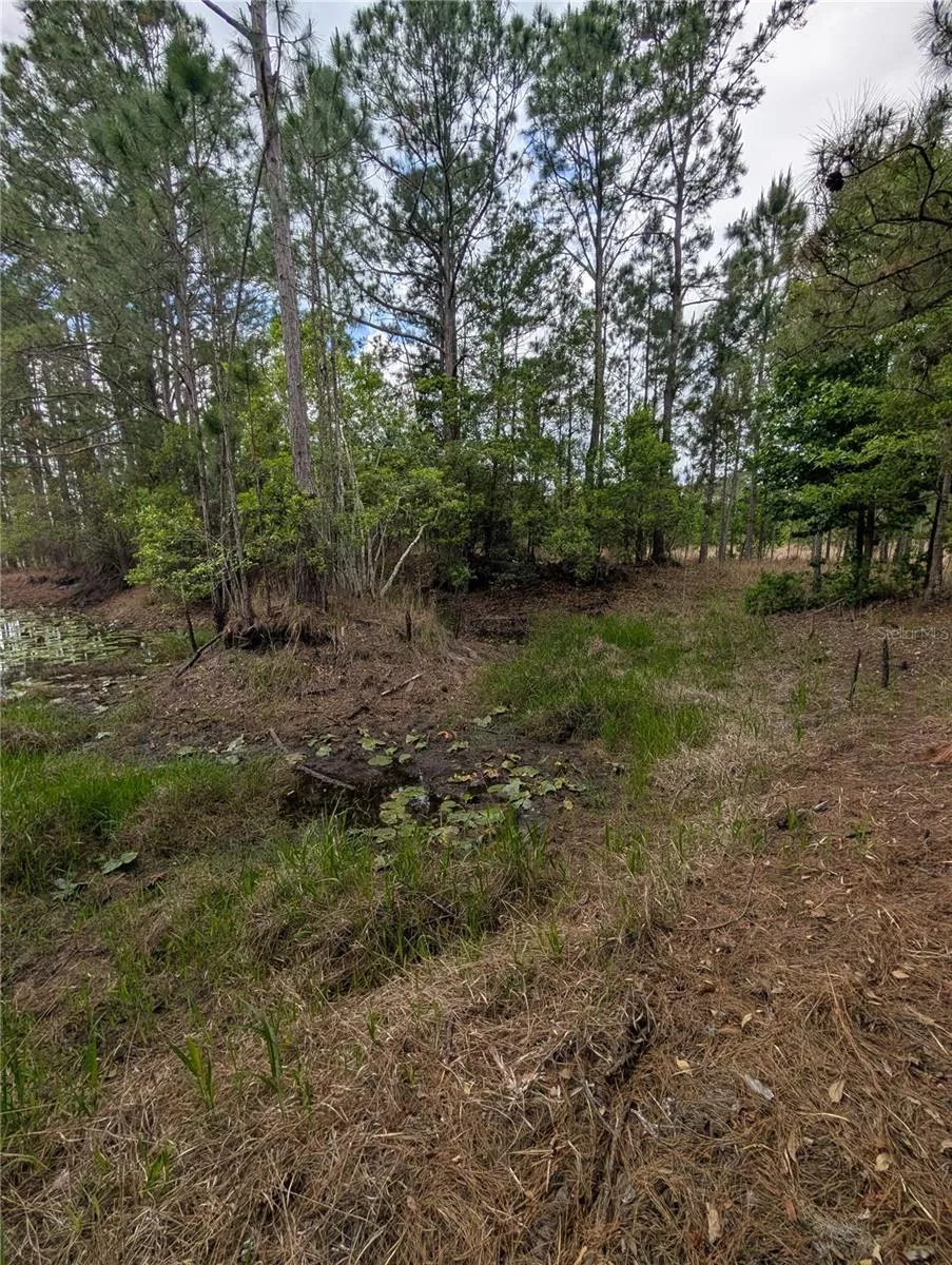 38521 ILEX TRAIL Eustis, FL 32736
