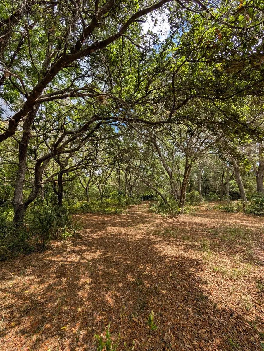 38521 ILEX TRAIL Eustis, FL 32736
