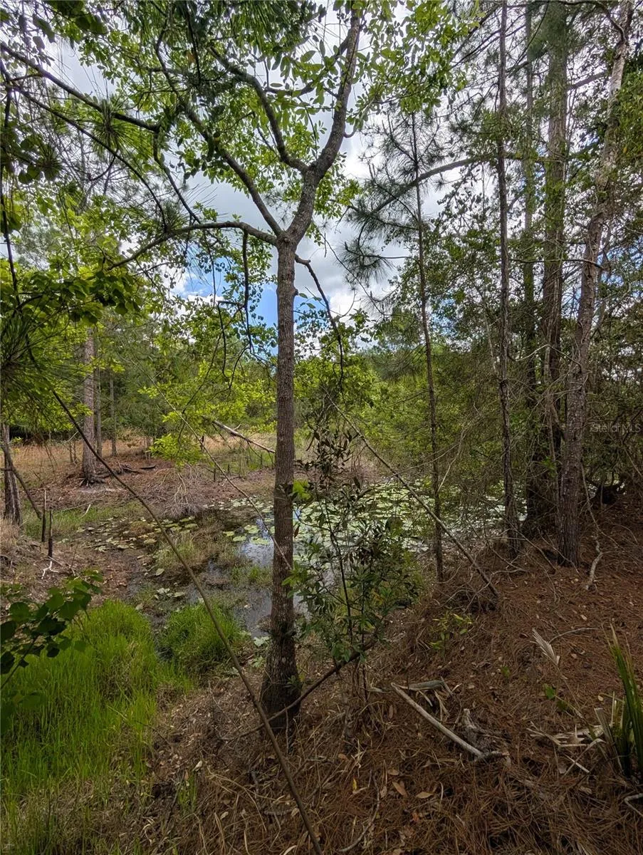 38521 ILEX TRAIL Eustis, FL 32736
