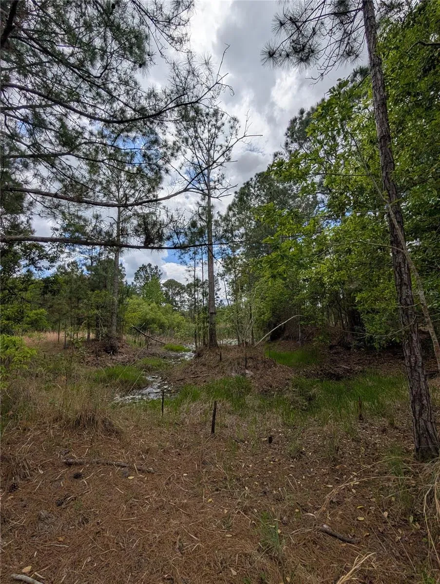 38521 ILEX TRAIL Eustis, FL 32736