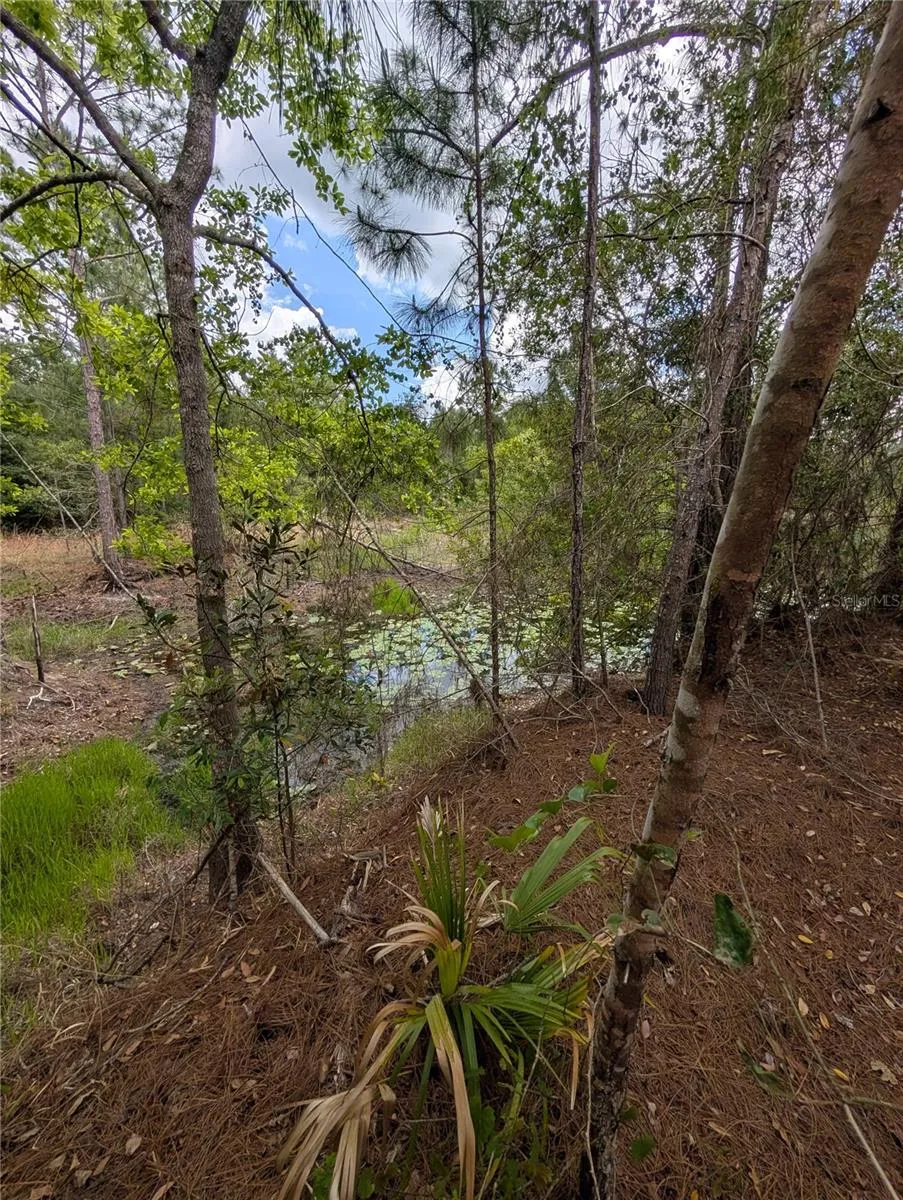 38521 ILEX TRAIL Eustis, FL 32736