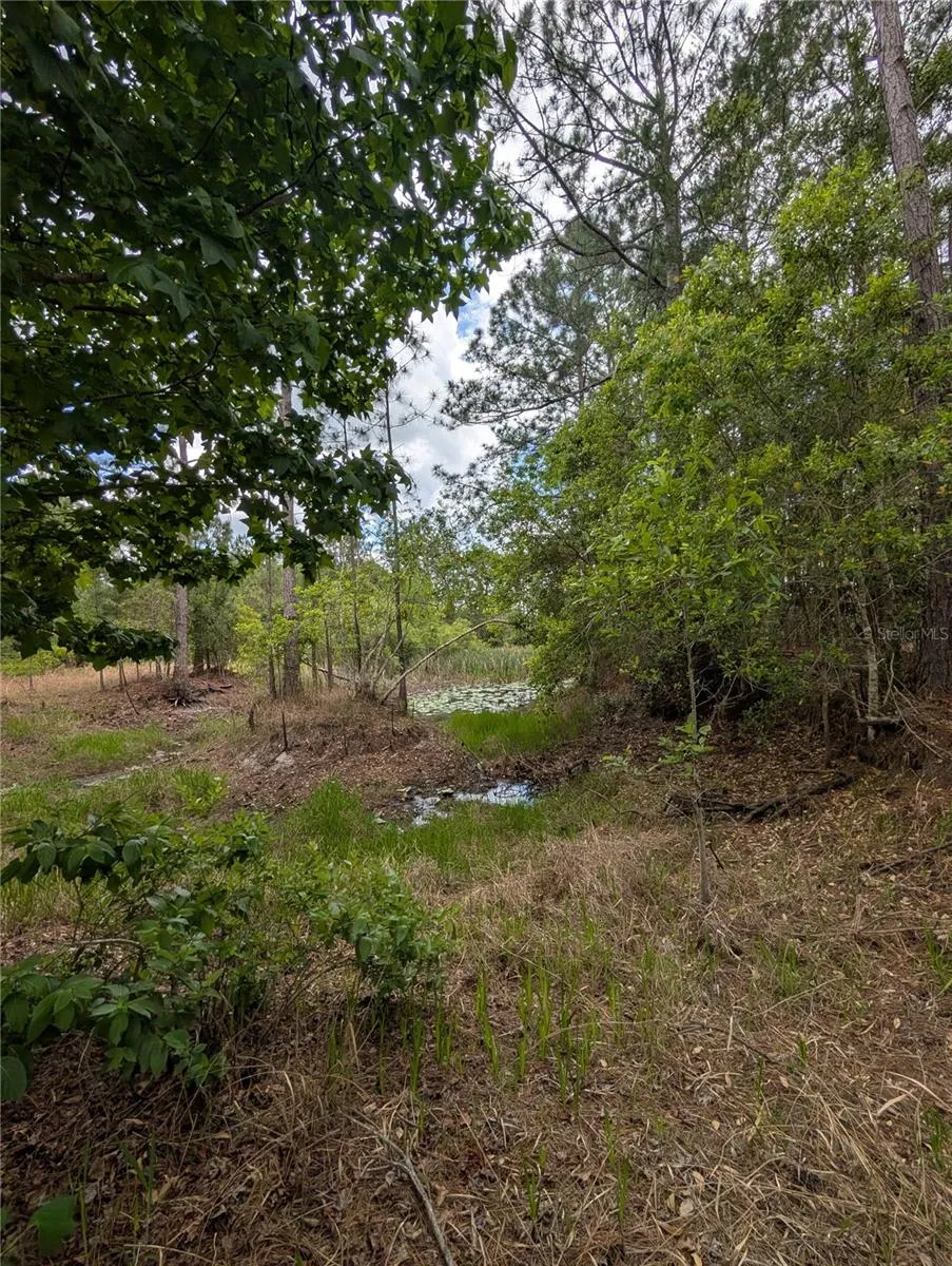 38521 ILEX TRAIL Eustis, FL 32736