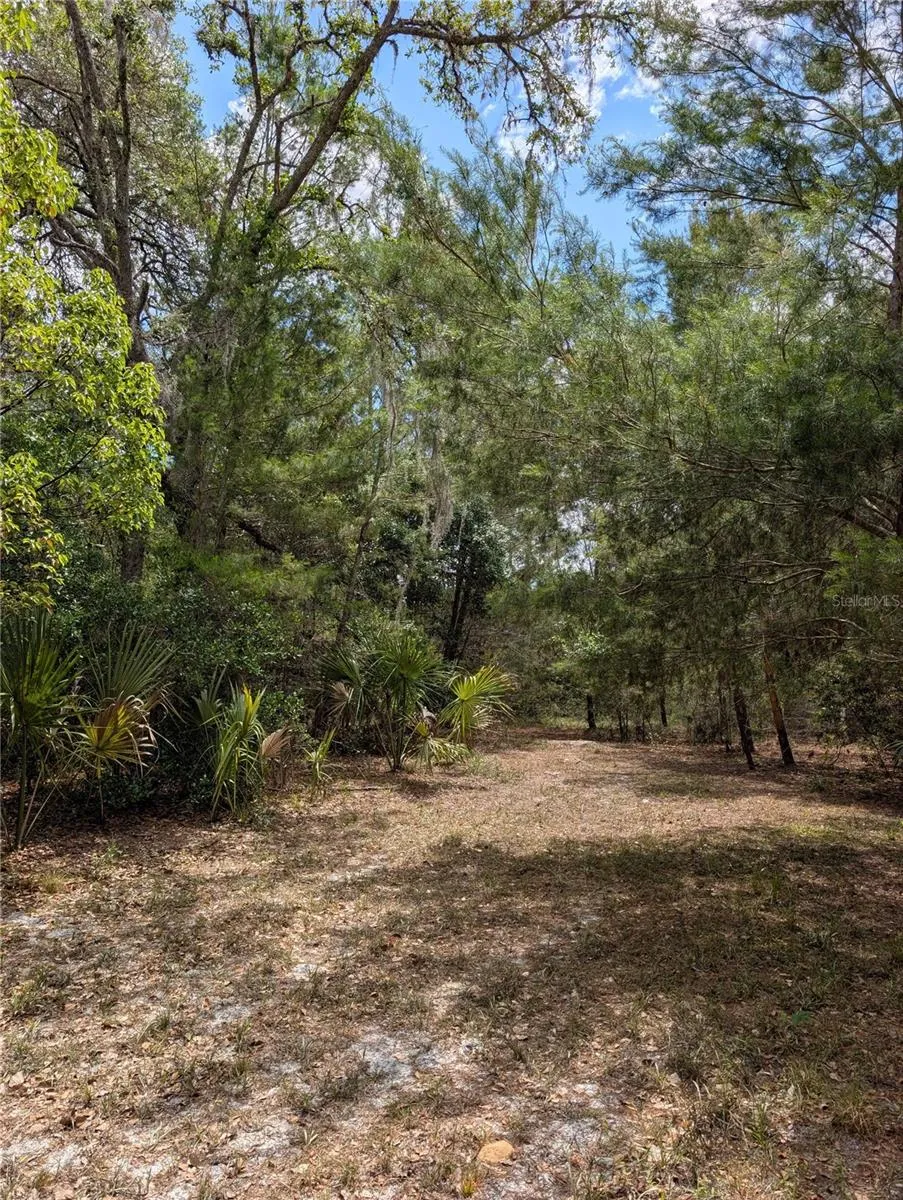 38521 ILEX TRAIL Eustis, FL 32736