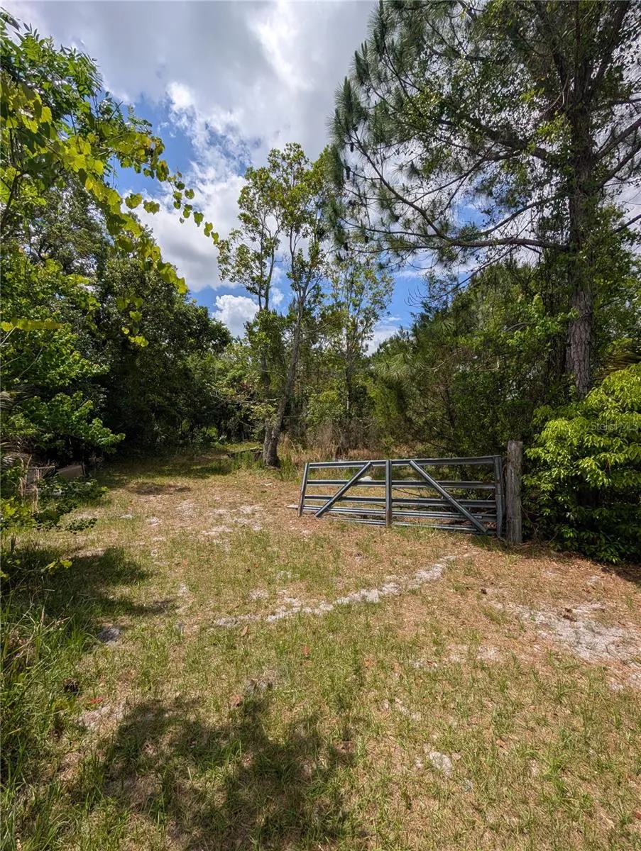 38521 ILEX TRAIL Eustis, FL 32736