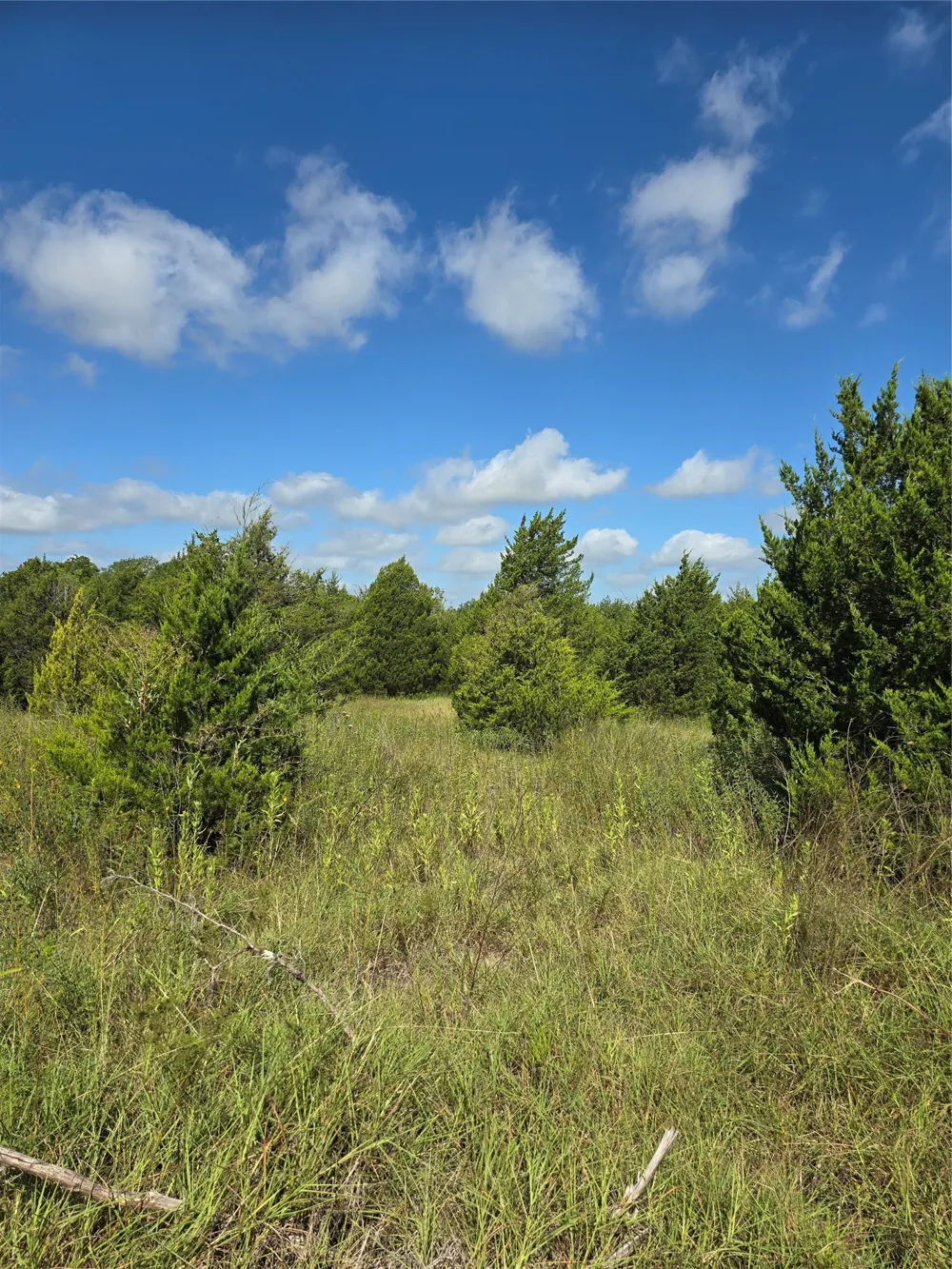 3694 County Road 1103 Celeste, TX 75423