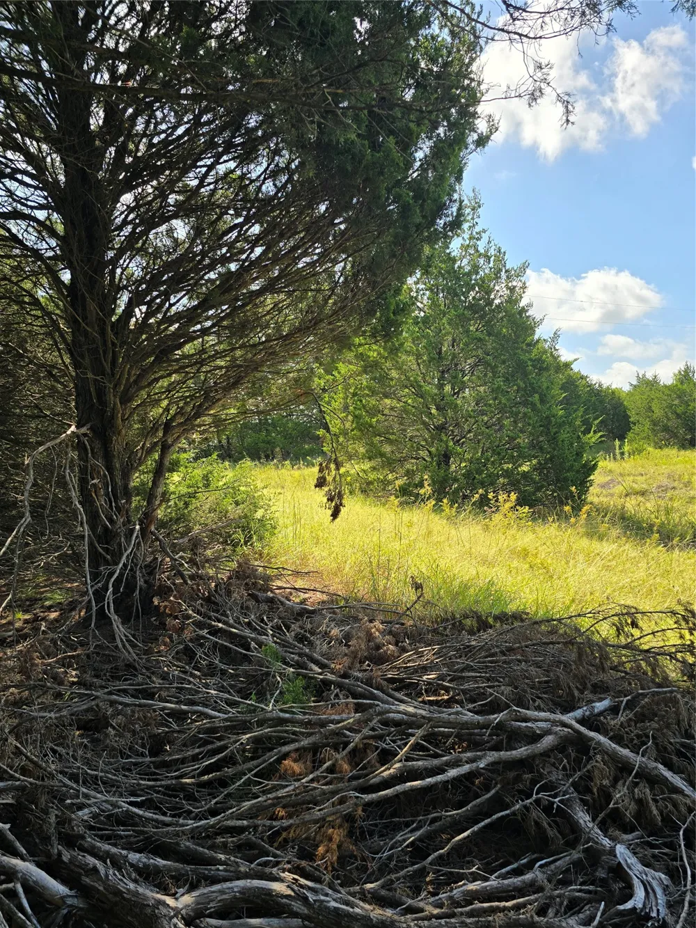 3694 County Road 1103 Celeste, TX 75423