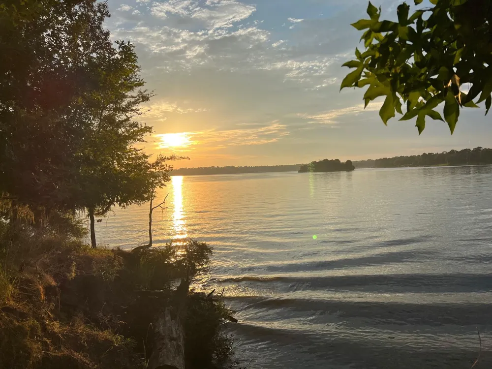 365 Point Drive Trinity, TX 75862
