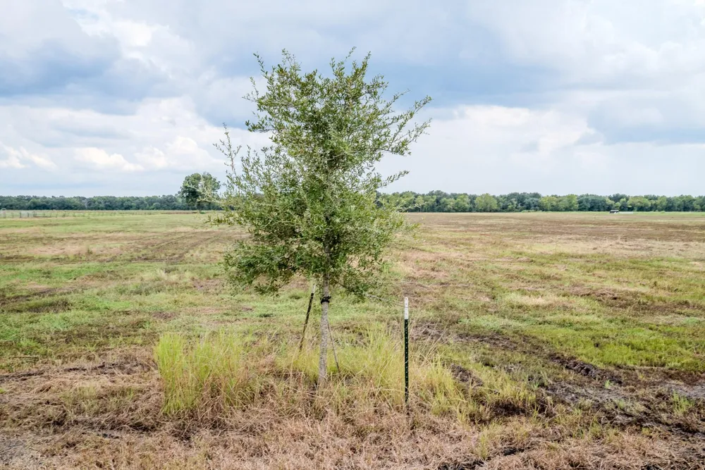 1 Charlie Meyer Road Damon, TX 77430