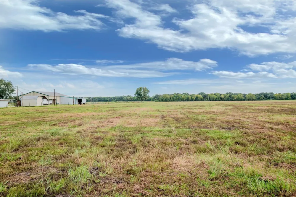 1 Charlie Meyer Road Damon, TX 77430