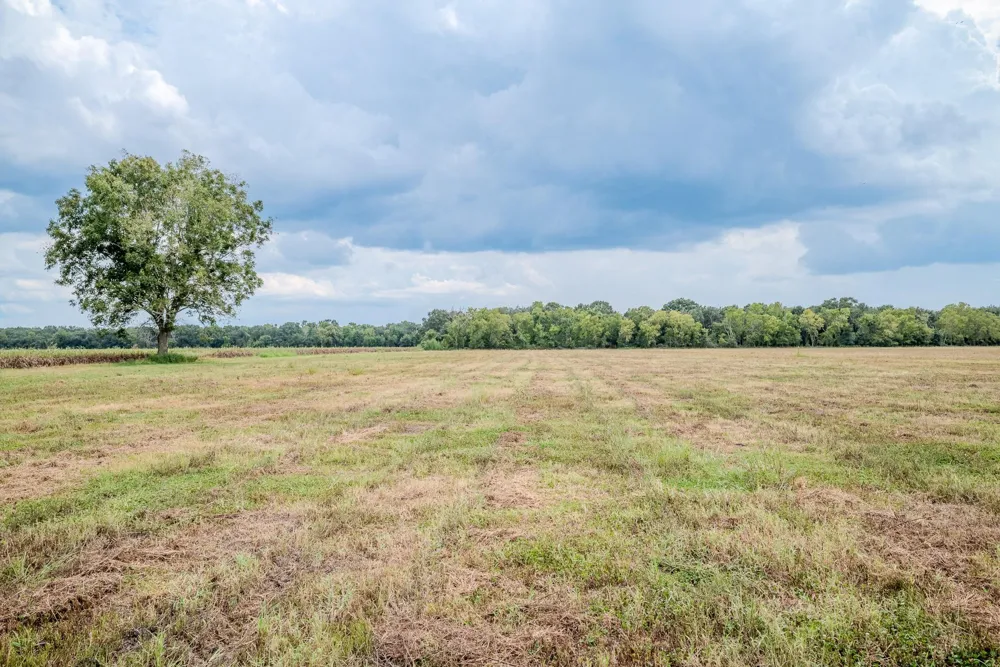 1 Charlie Meyer Road Damon, TX 77430