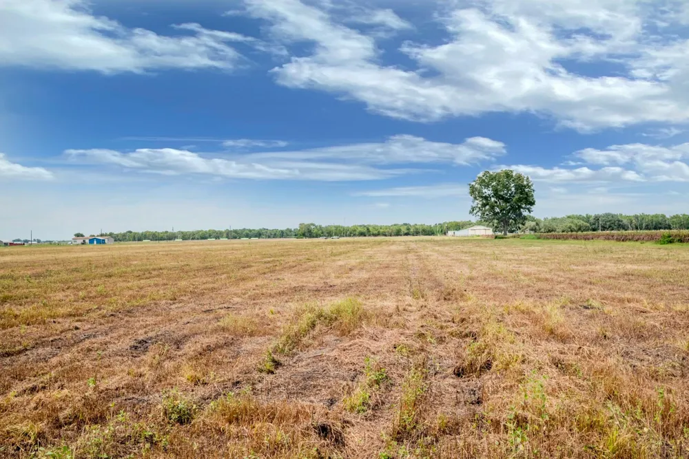 1 Charlie Meyer Road Damon, TX 77430