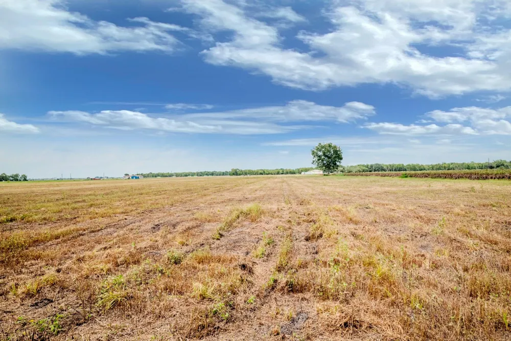 1 Charlie Meyer Road Damon, TX 77430