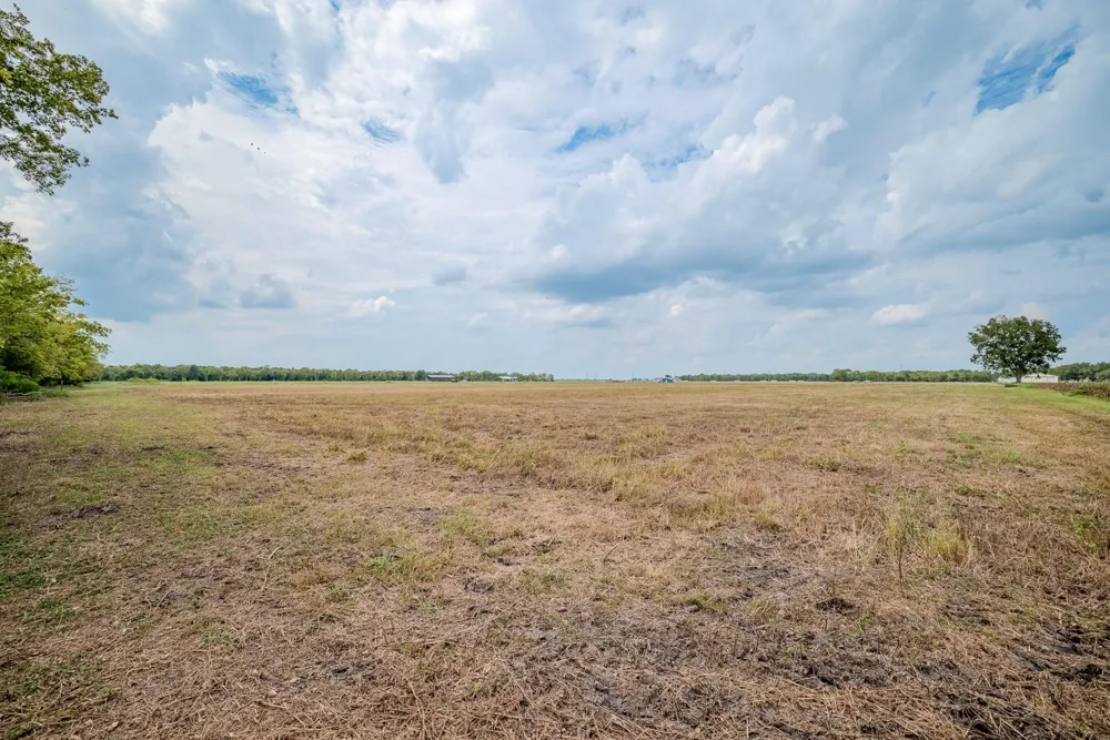 1 Charlie Meyer Road Damon, TX 77430