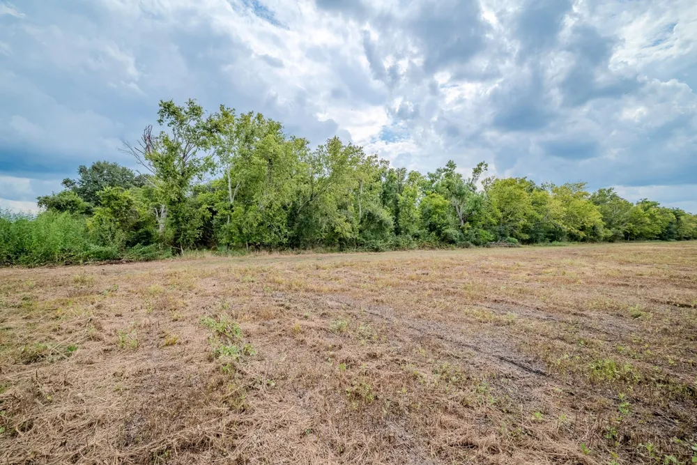 1 Charlie Meyer Road Damon, TX 77430